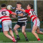 Picture: Anne Marie Cronin Photography